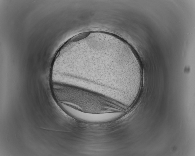 X0000094061500200711161512