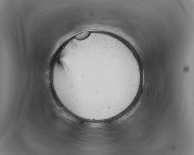 X0000094061501200711161512