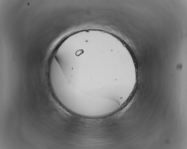 X0000094061502200711161512