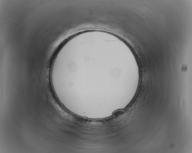 X0000094061503200711161512