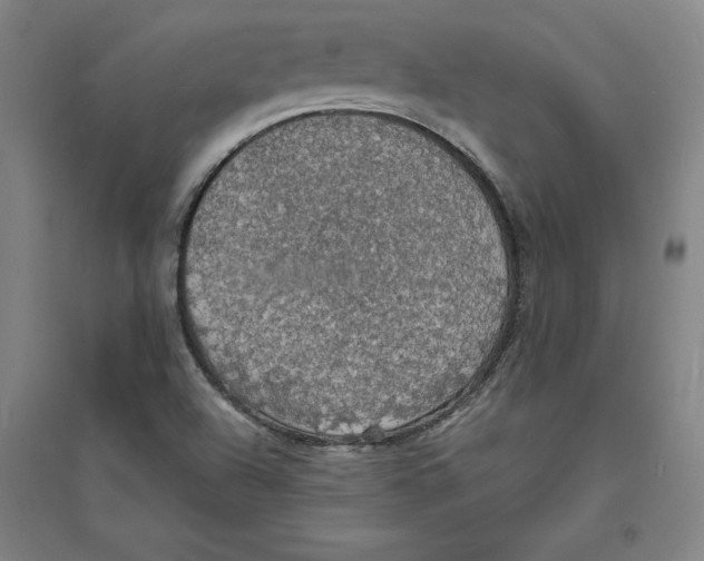 X0000094061504200711161512