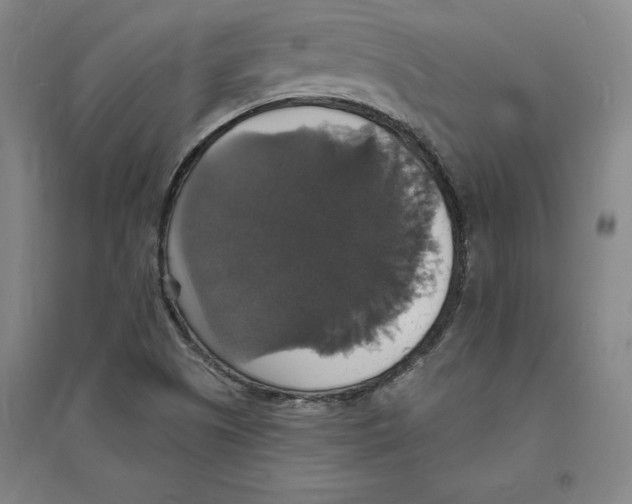 X0000094061505200711161512