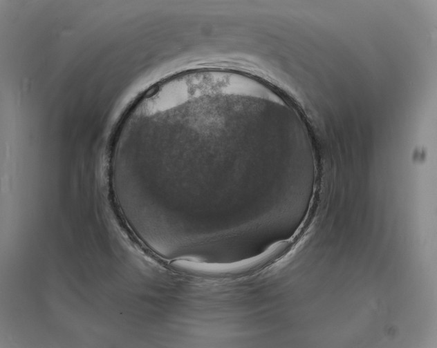 X0000094061506200711161513