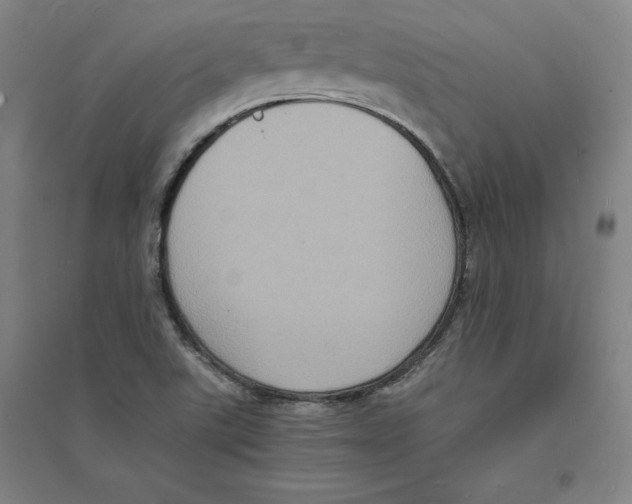 X0000094061507200711161513