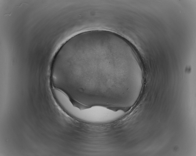 X0000094061508200711161513