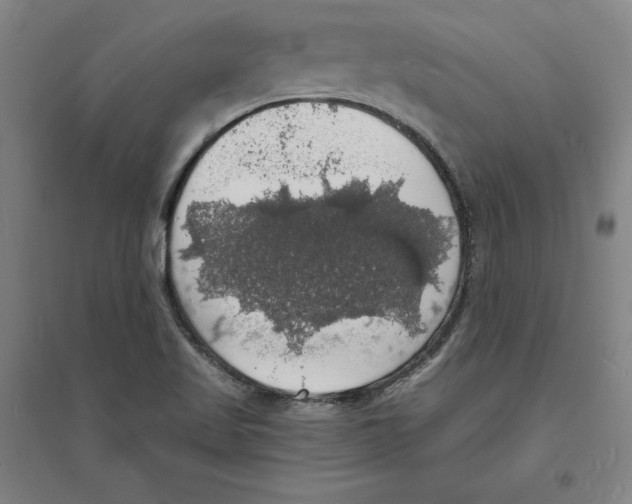 X0000094061509200711161513