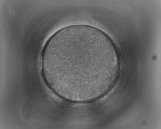 X0000094061510200711161513