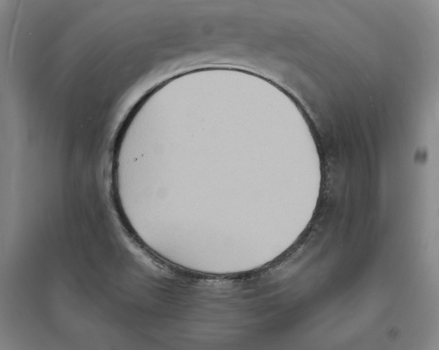 X0000094061511200711161513