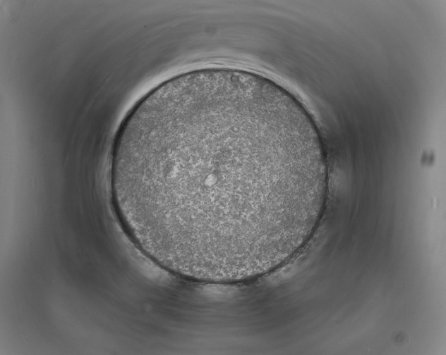 X0000094061514200711161513