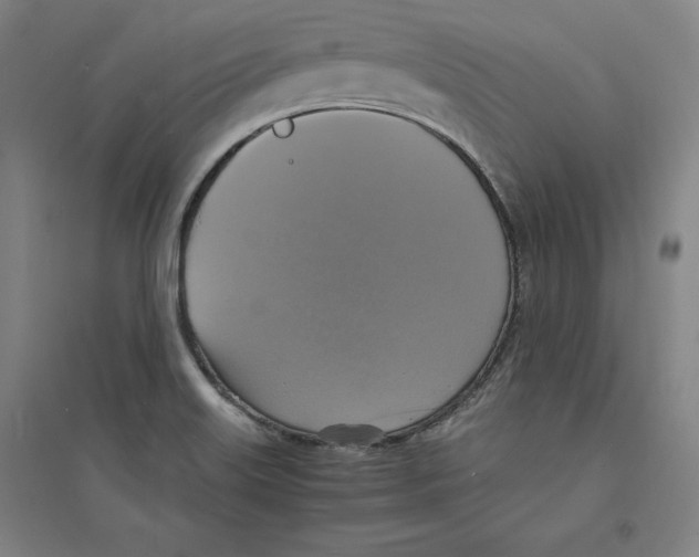 X0000094061515200711161513