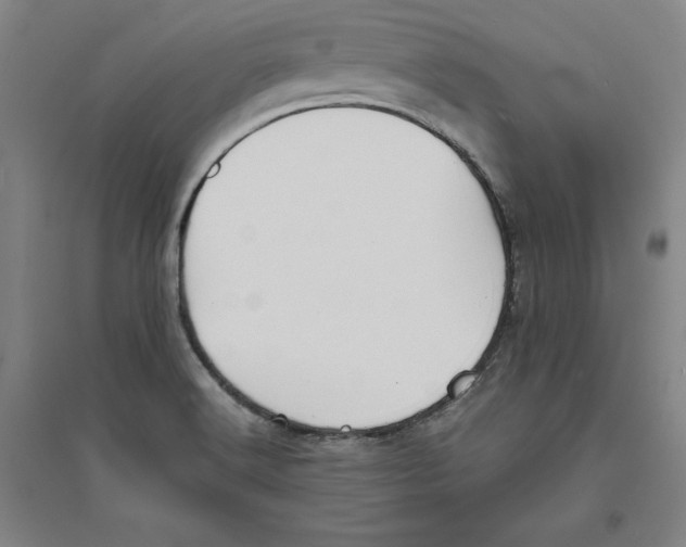 X0000094061516200711161513