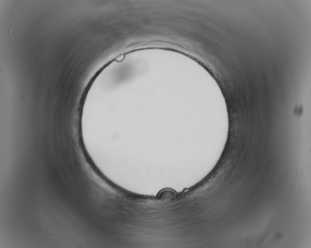 X0000094061518200711161513