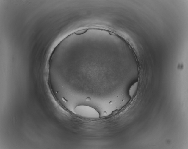 X0000094061520200711161513