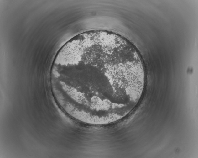 X0000094061521200711161513