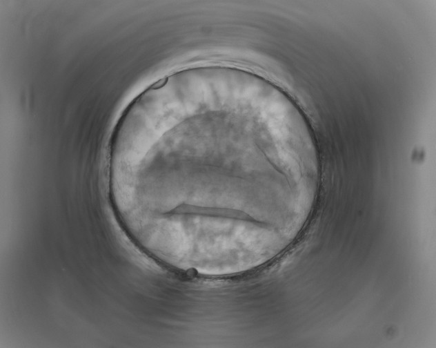 X0000094061522200711161513