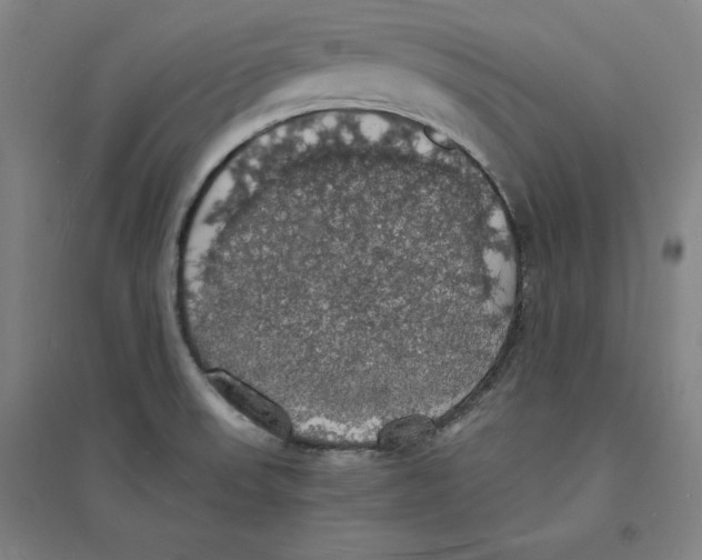 X0000094061523200711161513