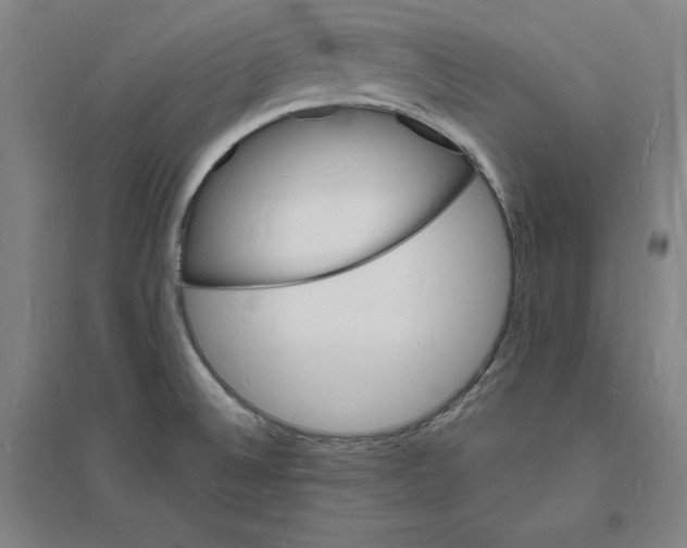 X0000094061524200711161513