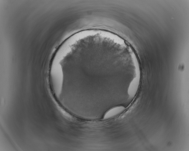 X0000094061525200711161513