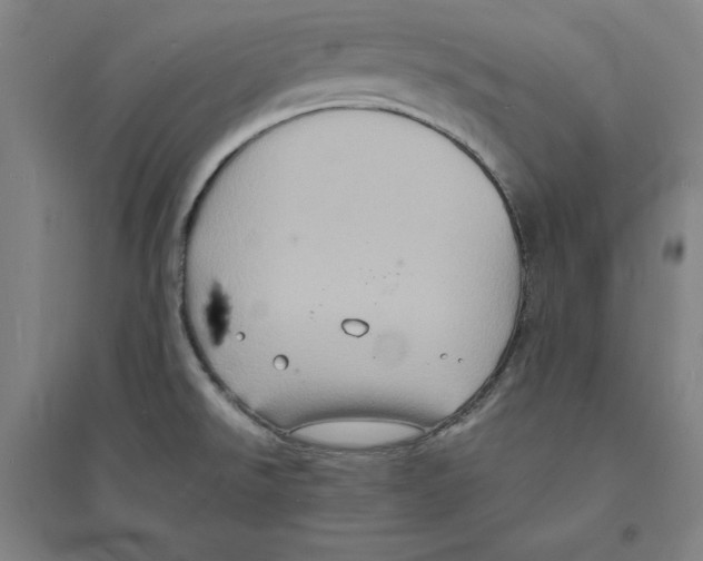 X0000094061526200711161513