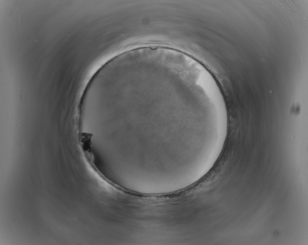 X0000094061527200711161513