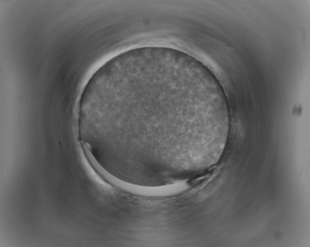 X0000094061528200711161513