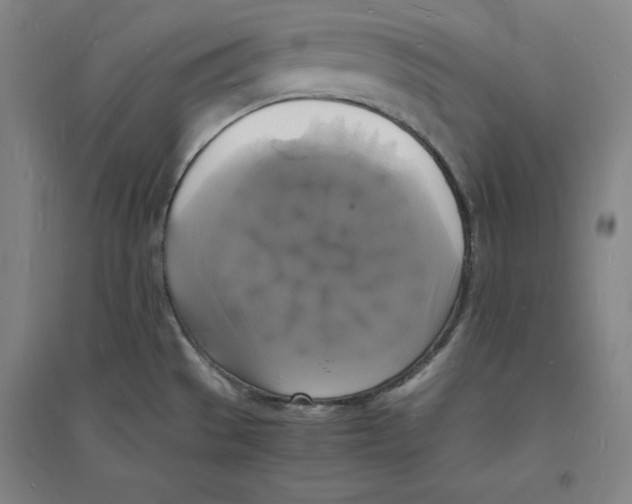 X0000094061529200711161513