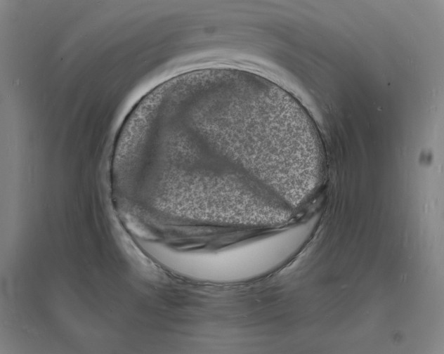 X0000094061530200711161513