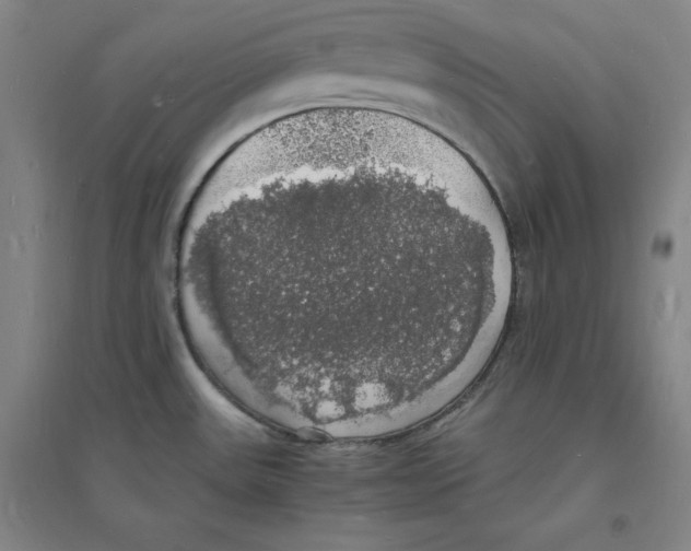 X0000094061531200711161513