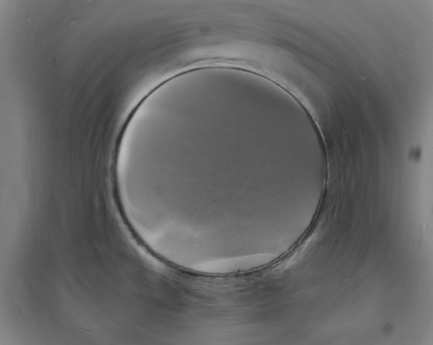 X0000094061533200711161513