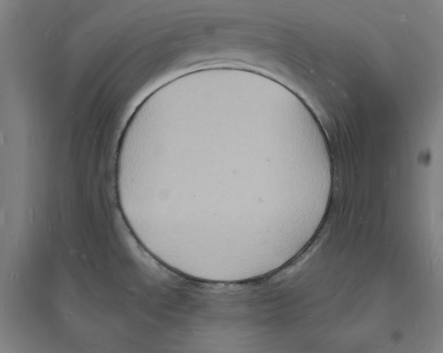 X0000094061534200711161513