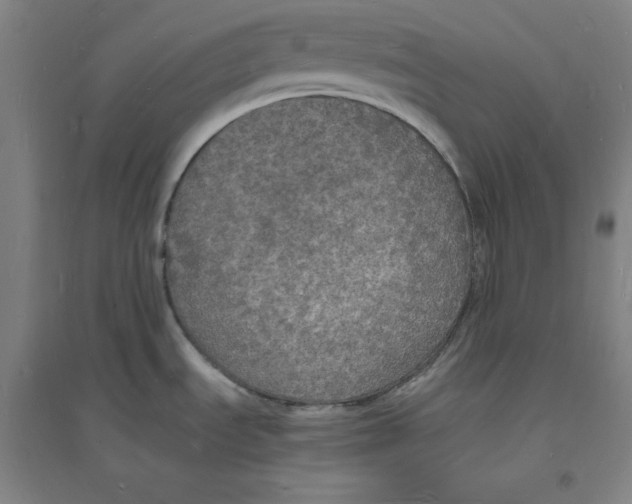 X0000094061535200711161513