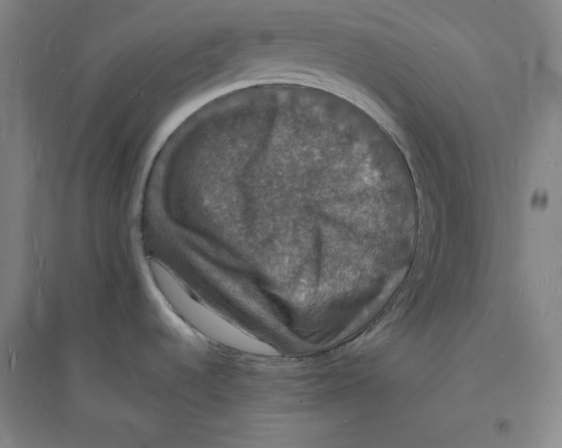 X0000094061536200711161513