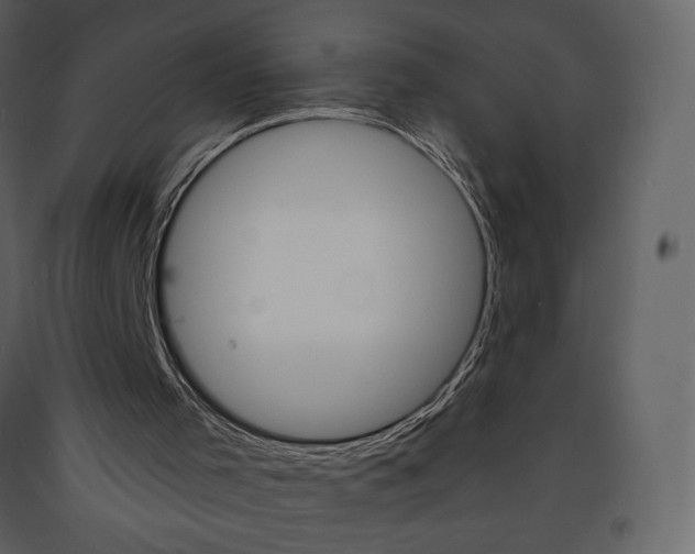 X0000094070001200710191006