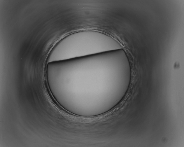 X0000094070002200710191006