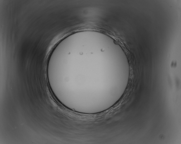 X0000094070004200710191006