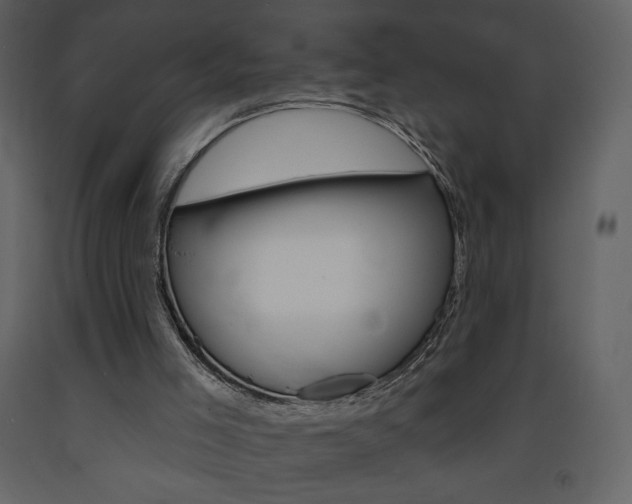 X0000094070005200710191006
