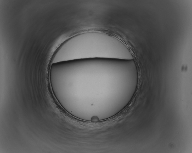 X0000094070006200710191006