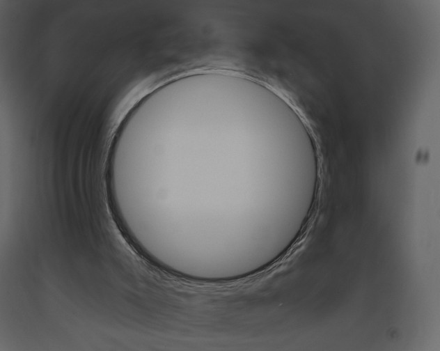 X0000094070007200710191006