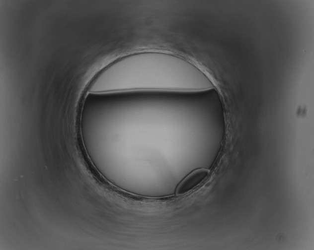 X0000094070008200710191006