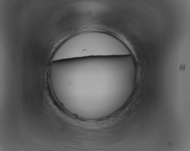 X0000094070010200710191006