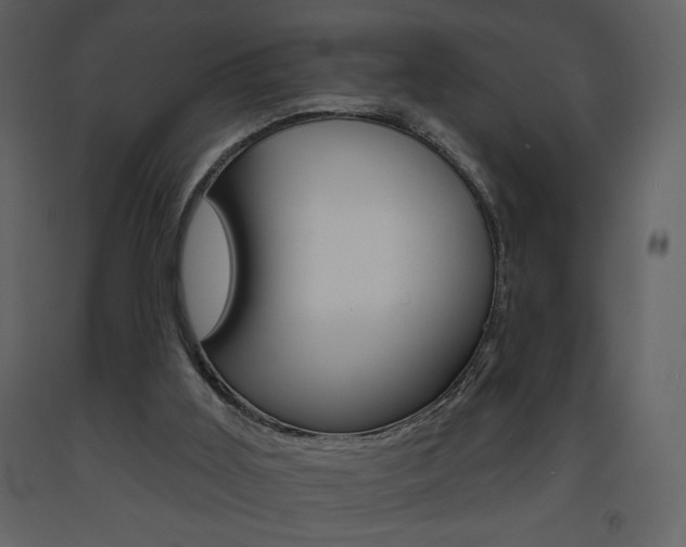 X0000094070011200710191006
