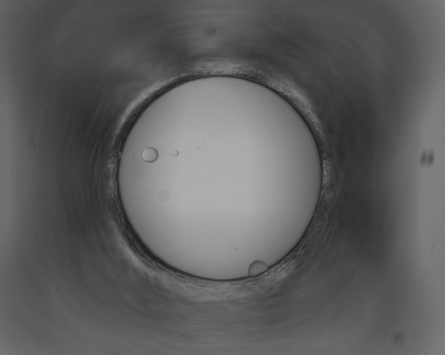 X0000094070012200710191006