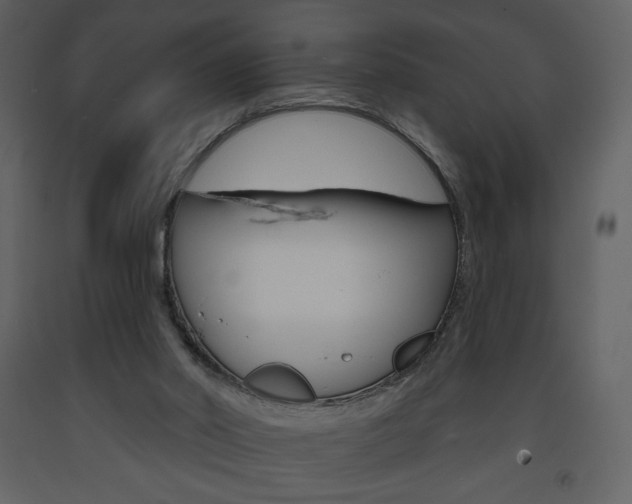 X0000094070014200710191006