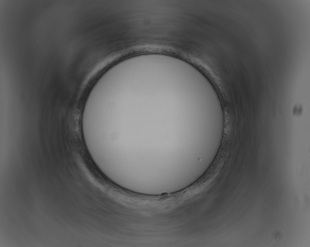 X0000094070016200710191006