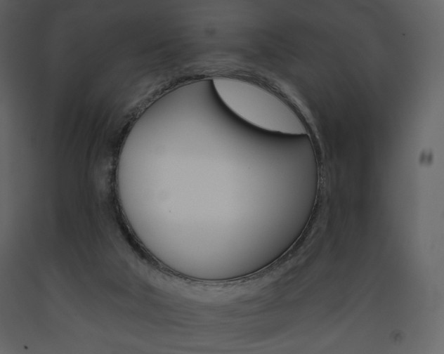 X0000094070018200710191006