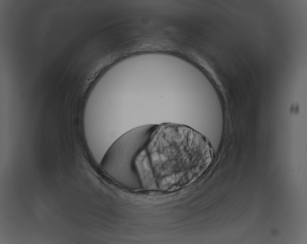 X0000094070019200710191006