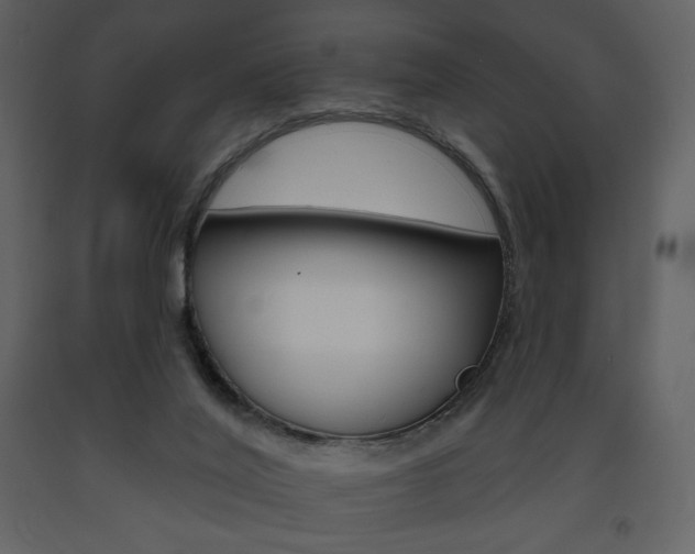 X0000094070020200710191006
