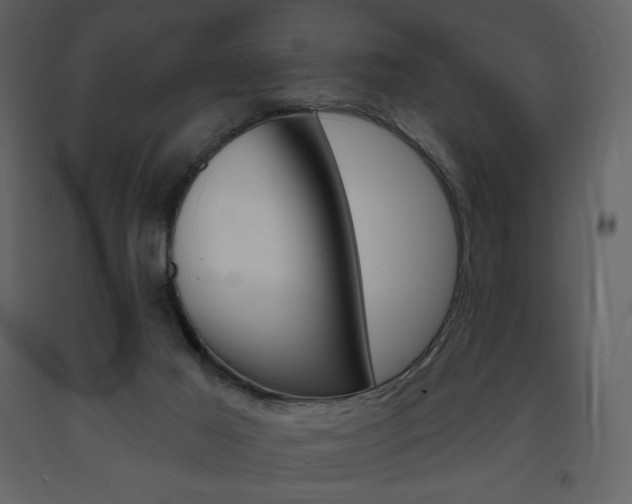 X0000094070021200710191006