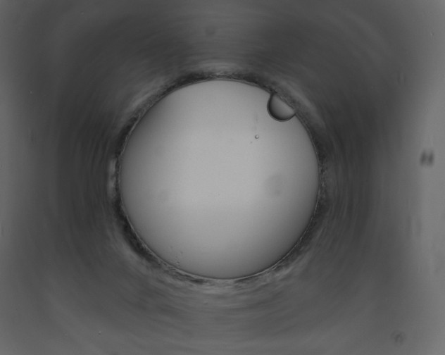 X0000094070024200710191006