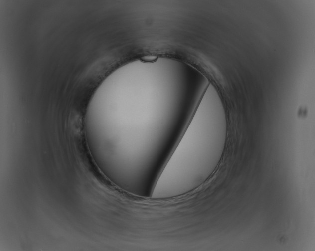 X0000094070025200710191006